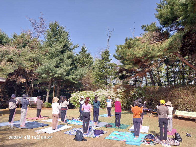 산림복지 프로그램 활동